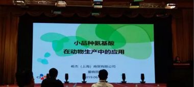 第十五屆泰山論壇 動(dòng)物營(yíng)養(yǎng)與飼料科學(xué)技術(shù)交流峰會(huì)2019圓滿落幕，技術(shù)轉(zhuǎn)讓成果豐碩
